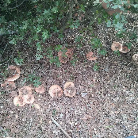 Del Teso, Norte Provincia Caceres, Tierras De Granadilla Tr-cc-00153 Apartment Cerezo